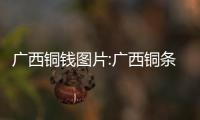 廣西銅錢圖片:廣西銅條