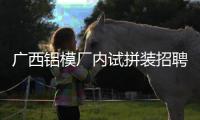 廣西鋁模廠內(nèi)試拼裝招聘和河池鋁模工地的情況說(shuō)明