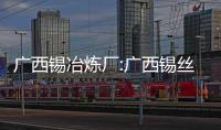 廣西錫冶煉廠:廣西錫絲環評