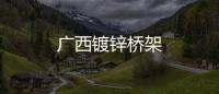 廣西鍍鋅橋架