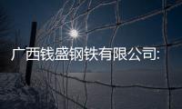 廣西錢(qián)盛鋼鐵有限公司:廣西錢(qián)盛