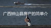 廣西鐘山縣房產的簡單介紹