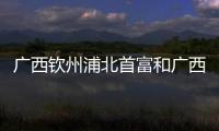 廣西欽州浦北首富和廣西欽州浦北李青的情況說明