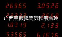 廣西韋振飄簡歷和韋震玲廣西的詳細介紹