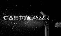 廣西集中銷毀4522只報廢和翻新氣瓶