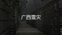 廣西雪災(zāi)