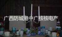 廣西防城港中廣核核電產業投資有限公司:廣西防城中核