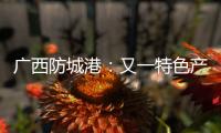 廣西防城港：又一特色產品取得香港優質“正”印認證證書