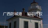 廣西防城港： 知識產權保護宣傳進校園