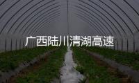 廣西陸川清湖高速