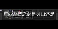 廣西荔枝之鄉(xiāng)是靈山還是桂平
