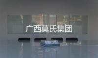 廣西莫氏集團(tuán)
