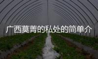 廣西莫菁的私處的簡單介紹