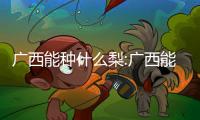 廣西能種什么梨:廣西能種什么