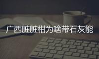 廣西臟臟柑為啥帶石灰能直接吃嗎:廣西臟臟柑