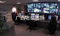 廣西老總被抓