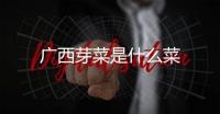廣西芽菜是什么菜