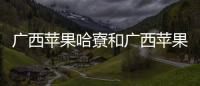 廣西蘋果哈寮和廣西蘋果哈的情況說明