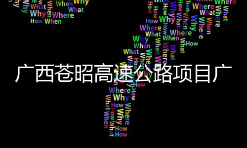 廣西蒼昭高速公路項目廣儀隧道雙洞順利貫通