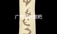 廣西艾葉糍粑