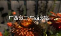 廣西良二:廣西良銘