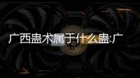 廣西蠱術屬于什么蠱:廣西蠱術