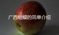 廣西蛤蟆的簡(jiǎn)單介紹