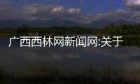 廣西西林網新聞網:關于廣西西林