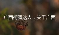 廣西街舞達人，關于廣西街舞殙詳細情況