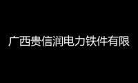 廣西貴信潤電力鐵件有限公司榮獲2022“鐵塔最受歡迎十強企業”稱號