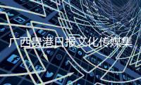 廣西貴港日報文化傳媒集團有限公司揭牌成立