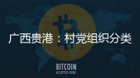 廣西貴港：村黨組織分類管理助推“后進村”變“明星村”