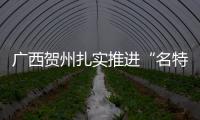 廣西賀州扎實(shí)推進(jìn)“名特優(yōu)新”個(gè)體工商戶幫扶工作