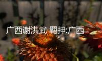 廣西謝洪武 羈押:廣西謝宏乾