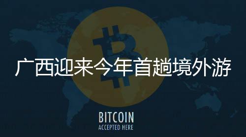 廣西迎來(lái)今年首趟境外游客專列，396名越南游客暢游柳州