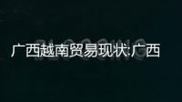 廣西越南貿易現狀:廣西越南貿易