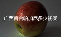廣西首臺(tái)帕加尼多少錢買的:廣西首臺(tái)652