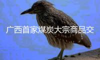 廣西首家煤炭大宗商品交易平臺上線