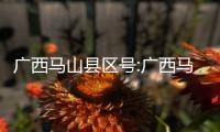 廣西馬山縣區(qū)號:廣西馬山電話號碼