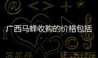 廣西馬蜂收購的價格包括廣西馬蜂科的詳細情況