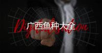 廣西魚種大全