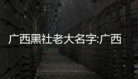 廣西黑社老大名字:廣西羅黑幫