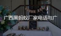 廣西黑螞蟻廠家電話與廣西黑螞蟻廠的原因