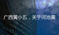 廣西黃小五，關(guān)于河池黃小菊詳細(xì)情況