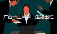 廣西：上半年，生豬出欄1917.27萬頭，同比增長2.8%