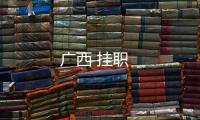 廣西 掛職
