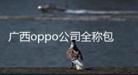 廣西oppo公司全稱包括廣西oppo公司工資的詳細情況