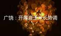 廣饒：開展夏玉米長勢調研助力秋糧豐收