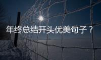 年終總結(jié)開頭優(yōu)美句子？（個人總結(jié)開頭）