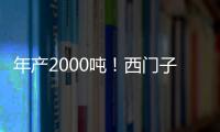 年產2000噸！西門子將在德國南部建造大型綠色氫工廠